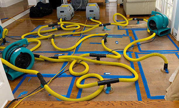 Professional Flood Damage Restoration technician working in New Lothrop, MI
