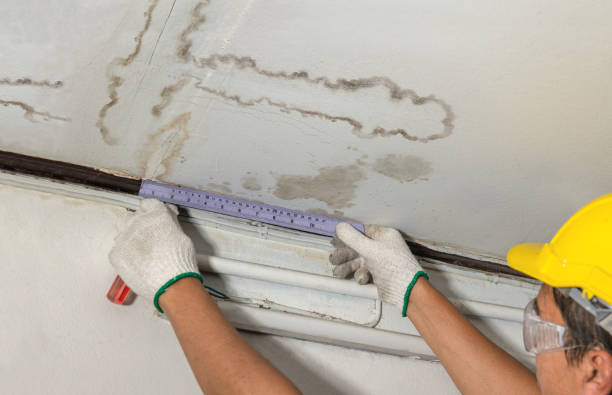 Affordable Water Damage Repair solutions in New Lothrop, MI